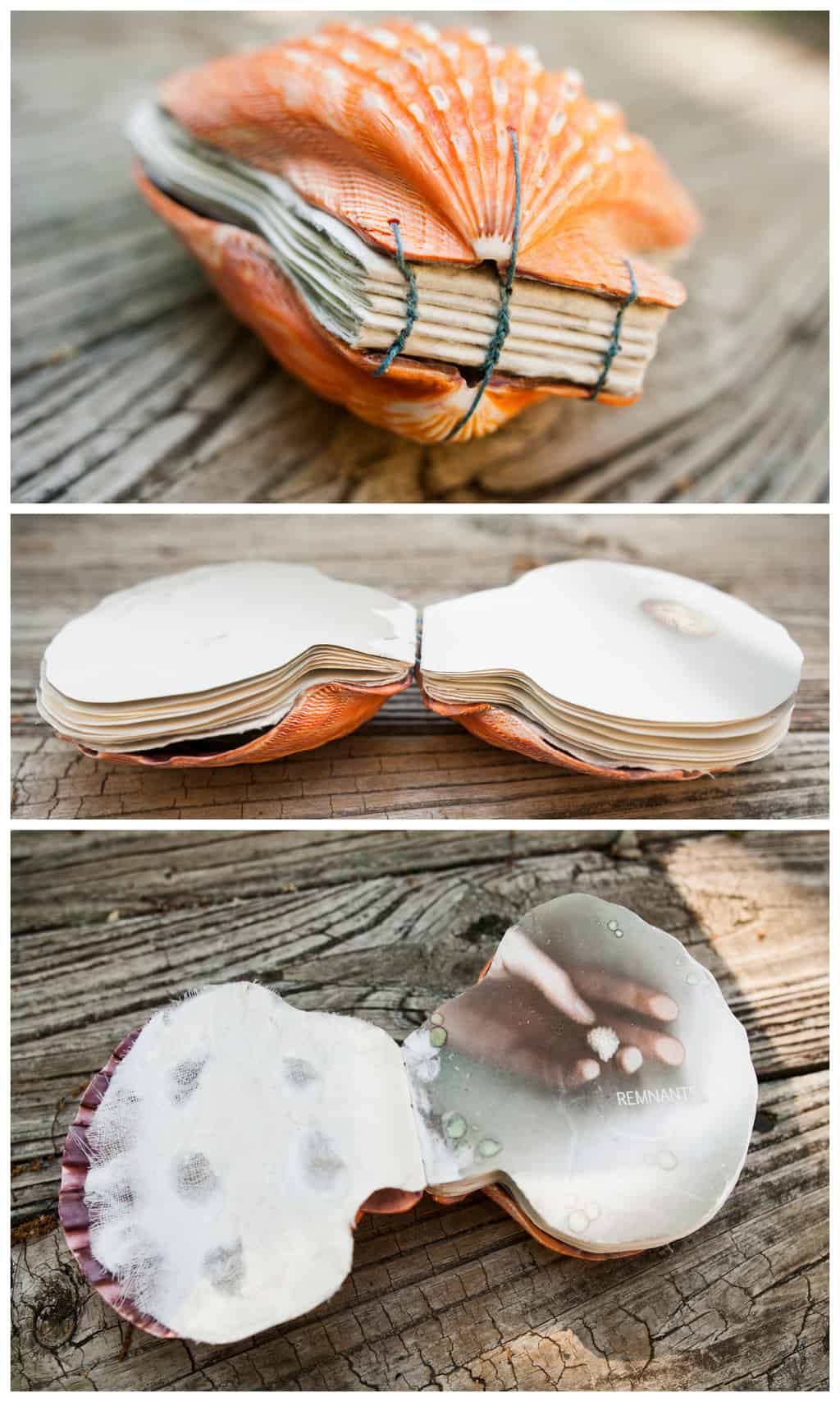 handmade artist's book made from paper, a seashell, and sewn binding